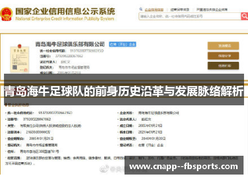 青岛海牛足球队的前身历史沿革与发展脉络解析