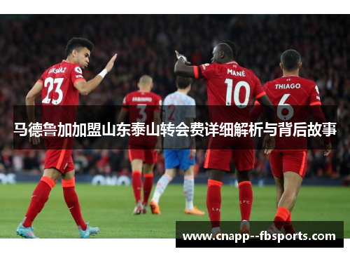 马德鲁加加盟山东泰山转会费详细解析与背后故事