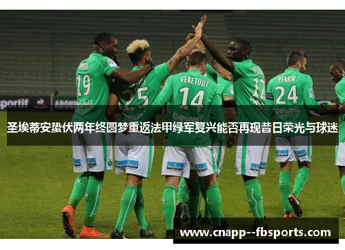 圣埃蒂安蛰伏两年终圆梦重返法甲绿军复兴能否再现昔日荣光与球迷 圣埃蒂安蛰伏两年终圆梦重返法甲绿军复兴能否再现昔日荣光与球迷